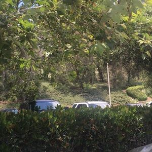 Meet your Posher, Babak